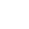 TikTok Ads